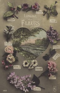 Le langage des fleurs - French Photographer